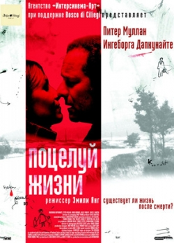 Поцелуй жизни (2004)