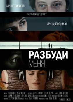 Разбуди меня (2017)