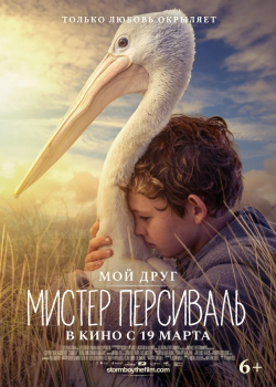 Мой друг мистер Персиваль / Штормовой мальчик (2020)